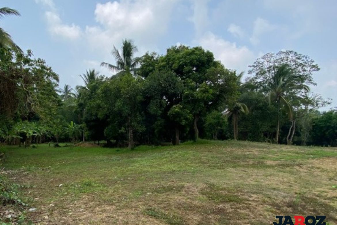 Land for Sale in Mangas II, Alfonso, Cavite – photo 4