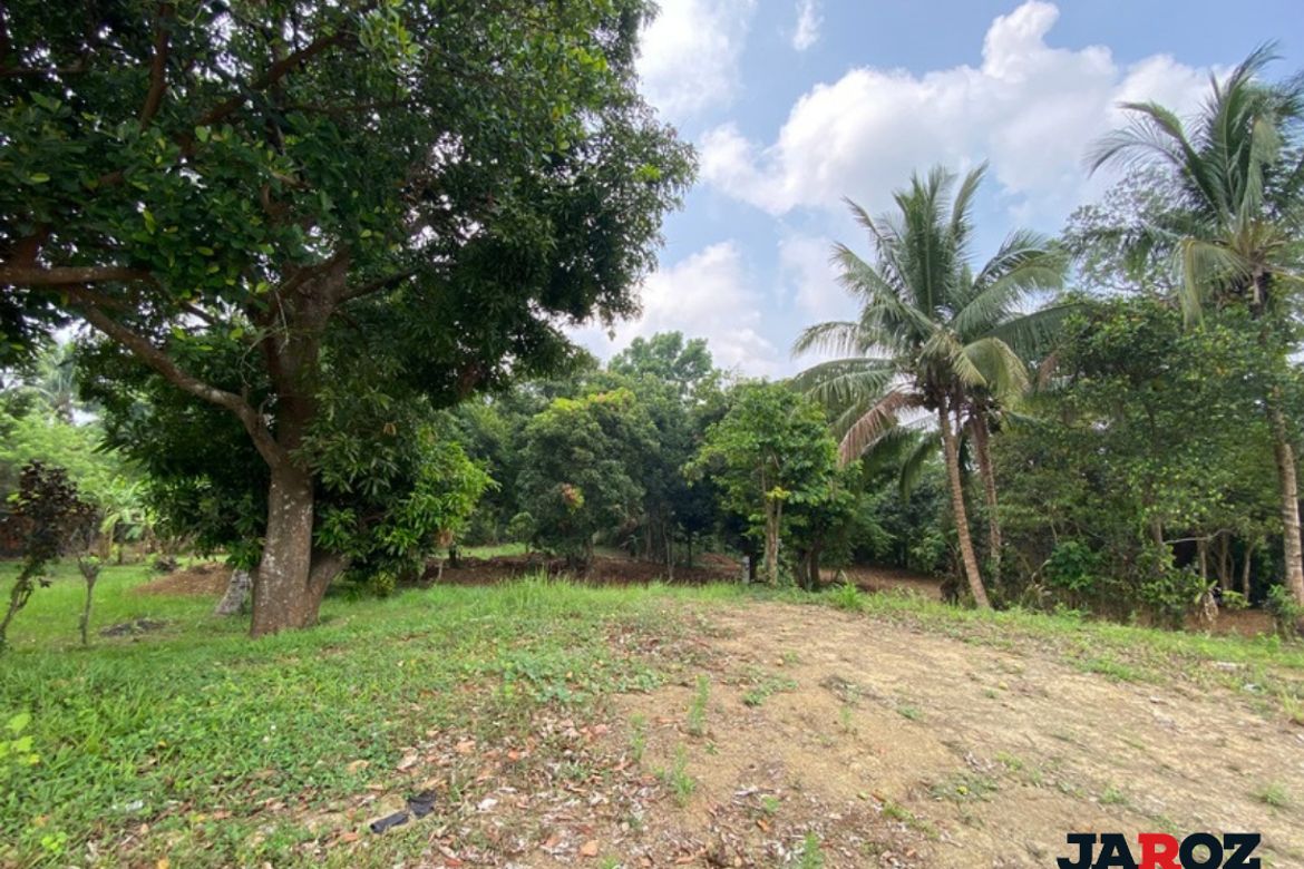 Land for Sale in Mangas II, Alfonso, Cavite – photo 5