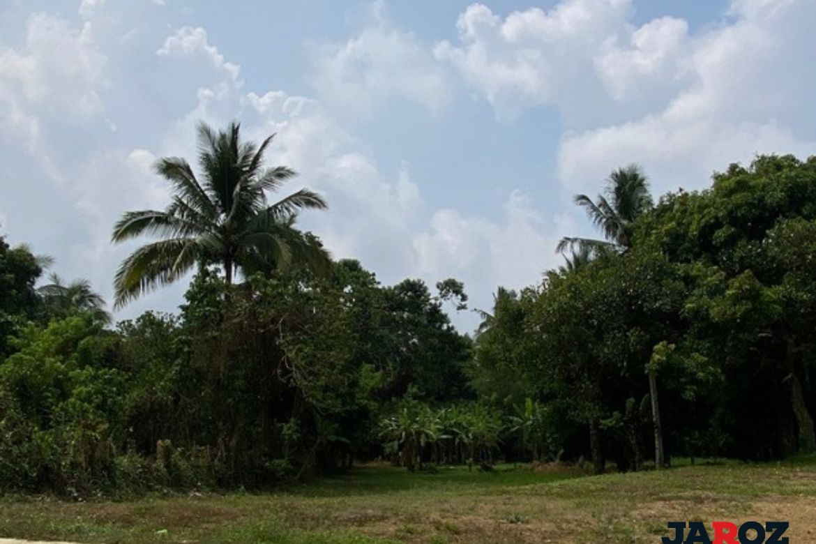 Land for Sale in Mangas II, Alfonso, Cavite – photo 6