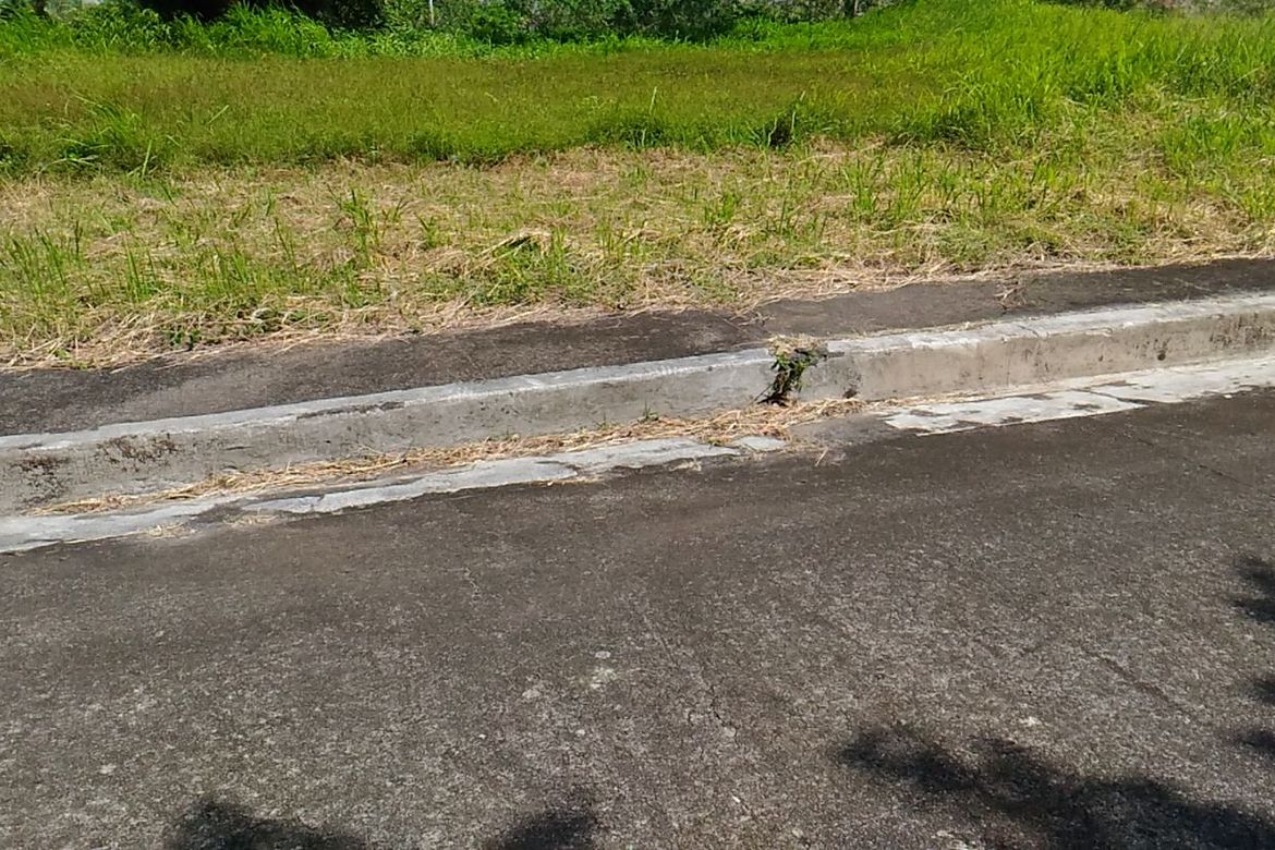 Land for Sale in Manggahan, General Trias, Cavite – photo 3
