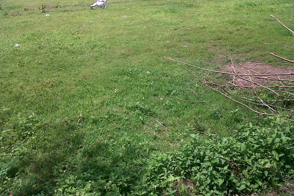 Land for Sale in Manggahan, General Trias, Cavite