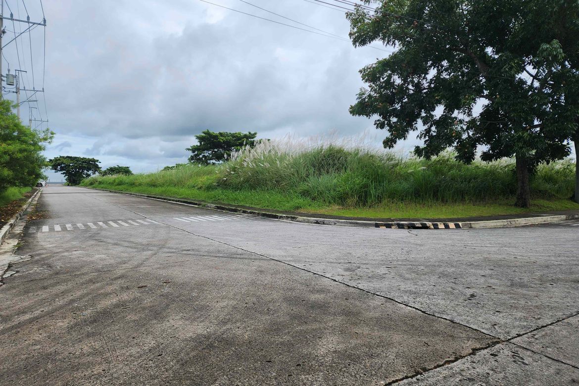 Land for Sale in Manggahan, General Trias, Cavite – photo 4