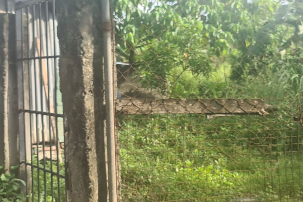 Land for Sale in Manggahan, General Trias, Cavite – photo 2