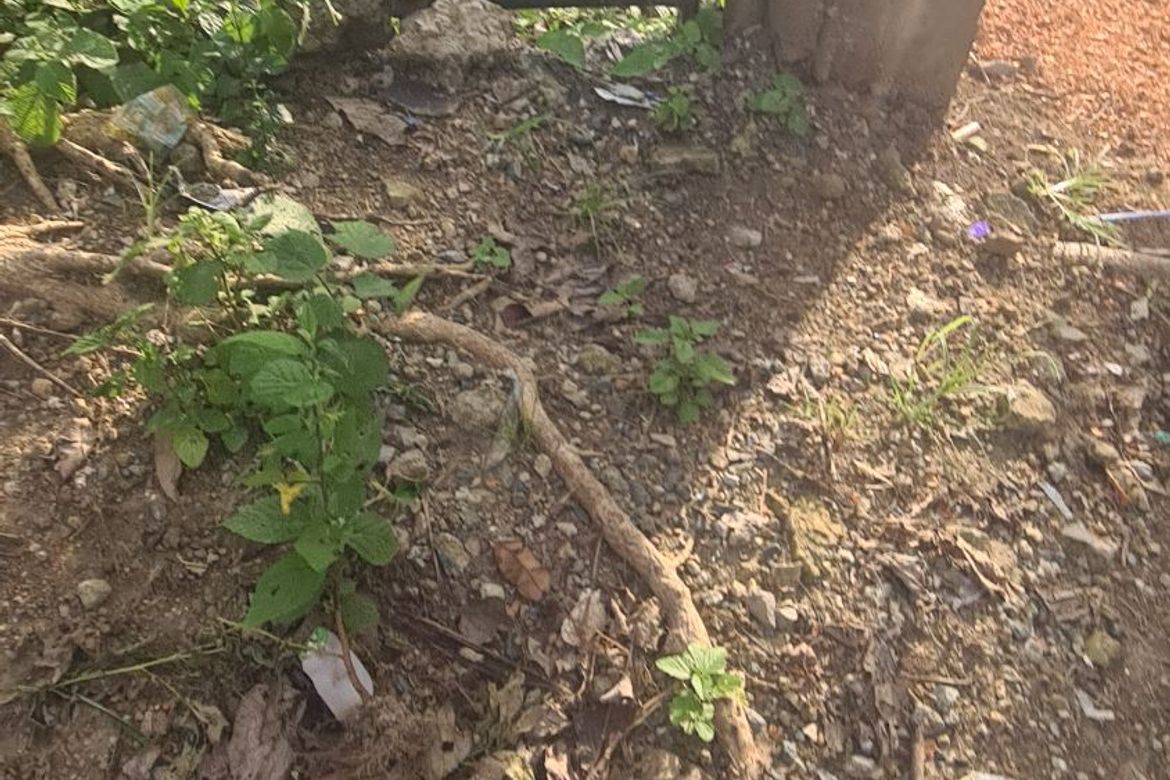 Land for Sale in Manggahan, General Trias, Cavite – photo 3