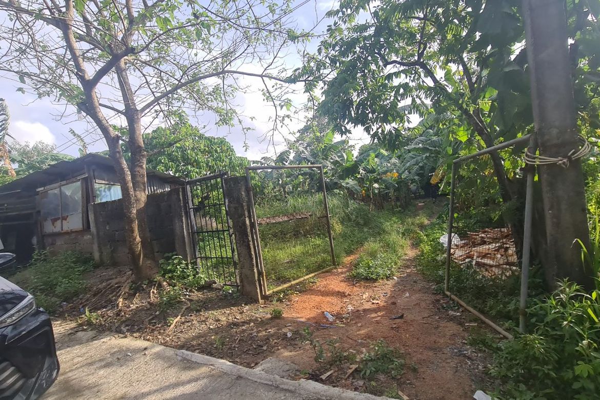 Land for Sale in Manggahan, General Trias, Cavite – photo 6