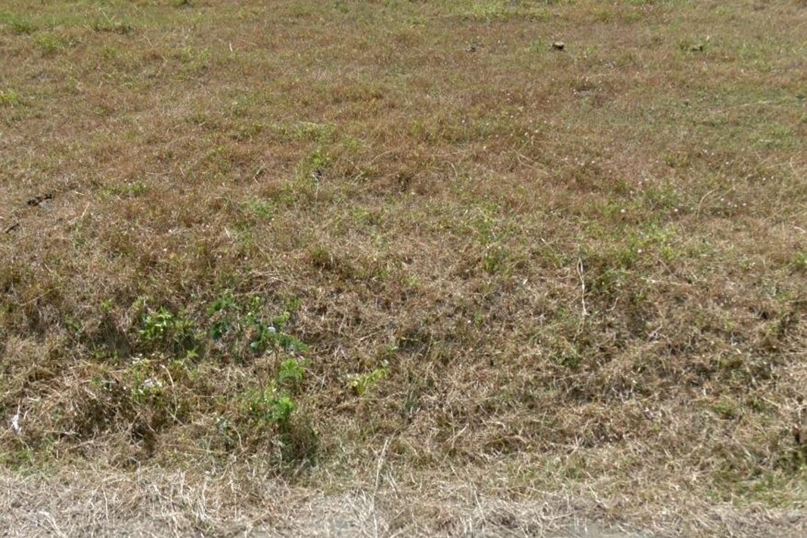 Land for Sale in Manggahan, General Trias, Cavite – photo 4
