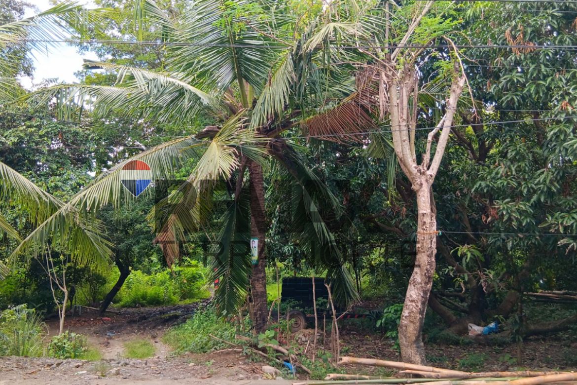 Land for Sale in Mangin, Dagupan, Pangasinan – photo 3
