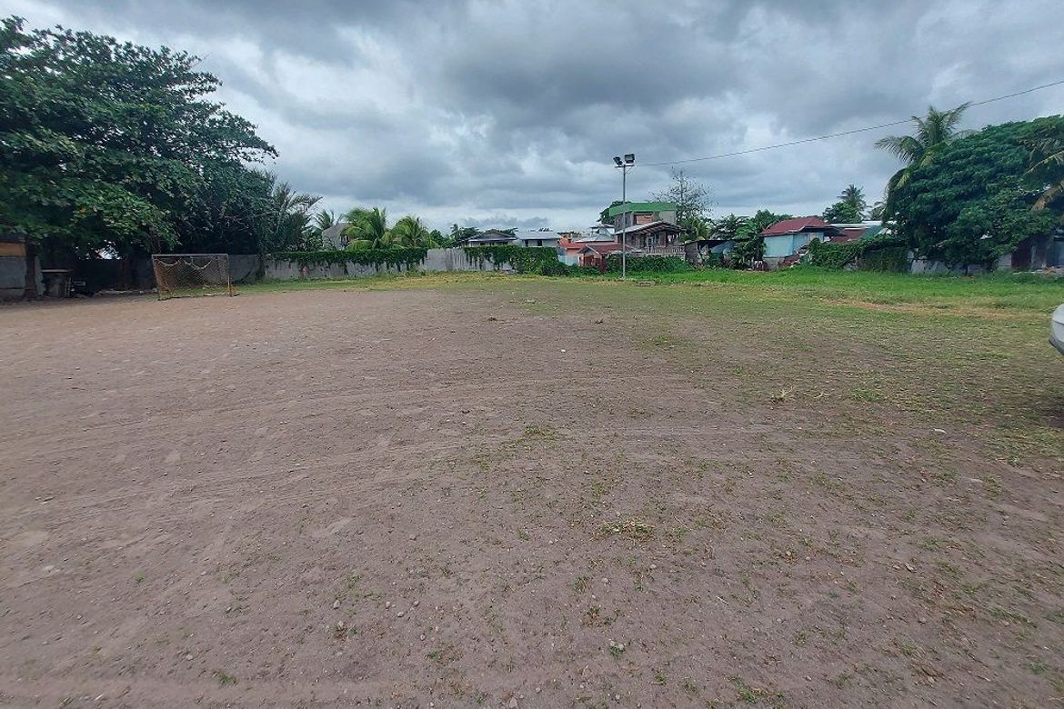 Land for Sale in Mangnao-Canal, Dumaguete, Negros Oriental – photo 3