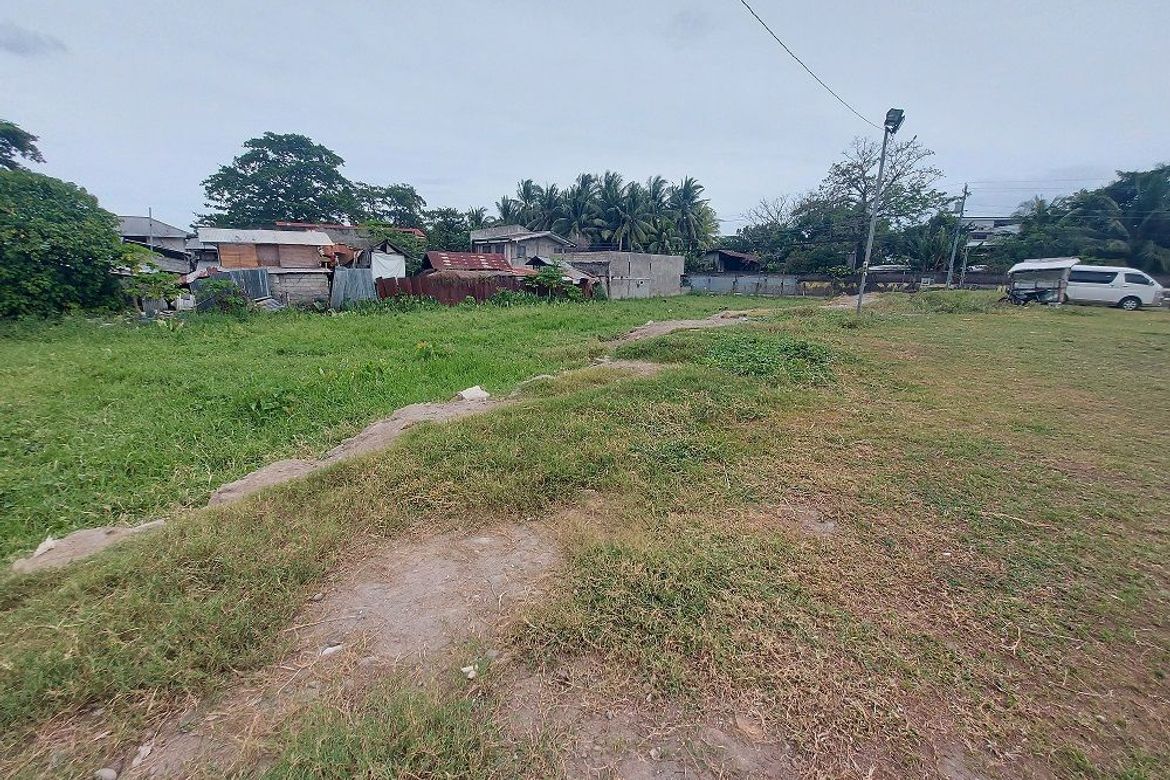Land for Sale in Mangnao-Canal, Dumaguete, Negros Oriental – photo 4