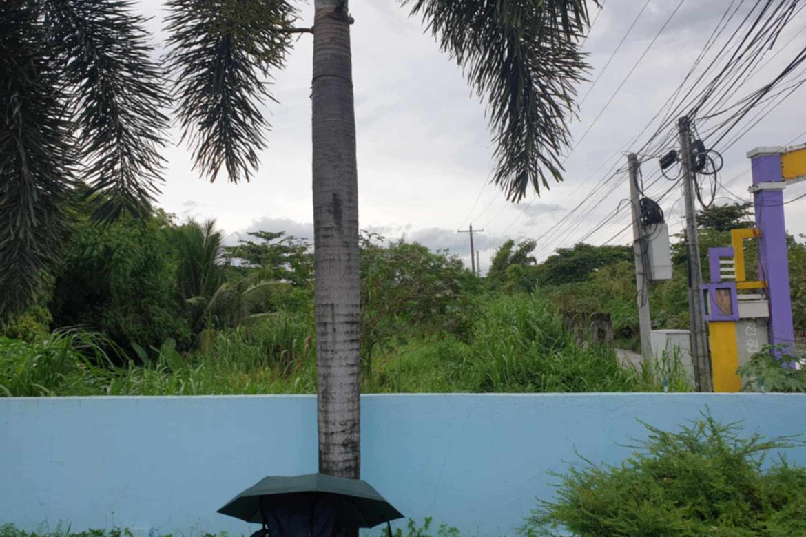 Land for Sale in Manibaug Libutad, Porac, Pampanga – photo 4
