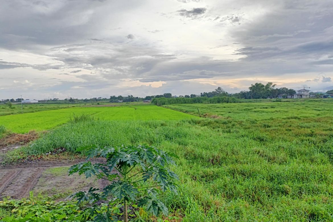 Land for Sale in Manibaug Libutad, Porac, Pampanga – photo 2