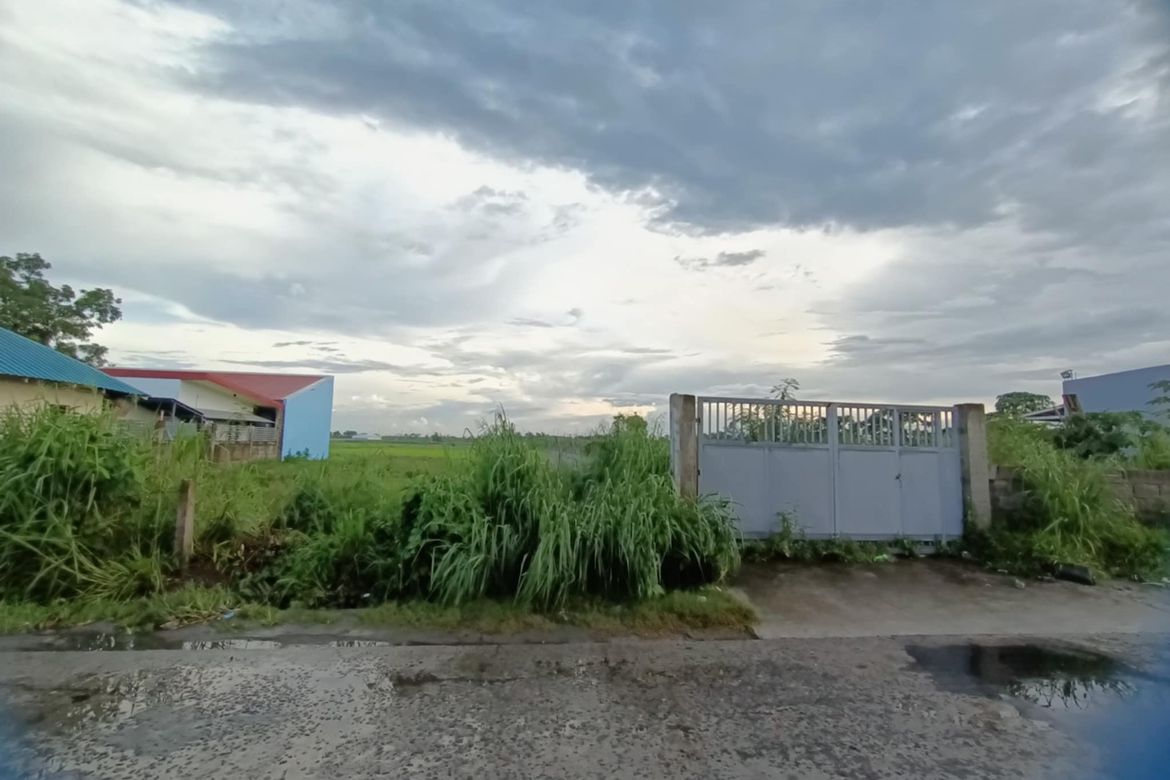 Land for Sale in Manibaug Libutad, Porac, Pampanga – photo 7
