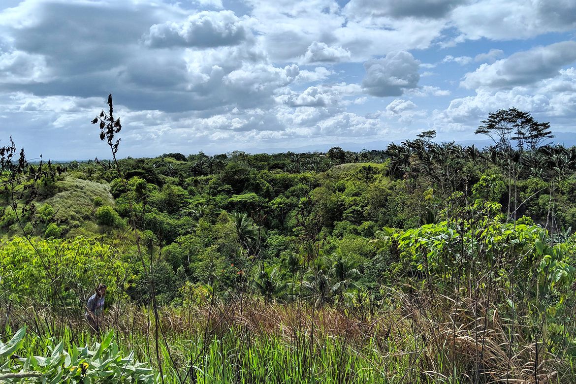 Land for Sale in Mankilam, Tagum, Davao del Norte – photo 2