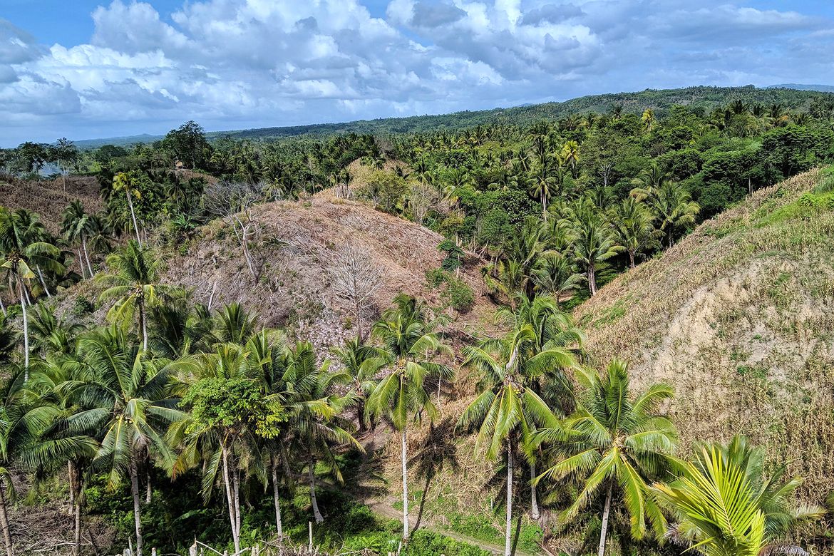 Land for Sale in Mankilam, Tagum, Davao del Norte – photo 4
