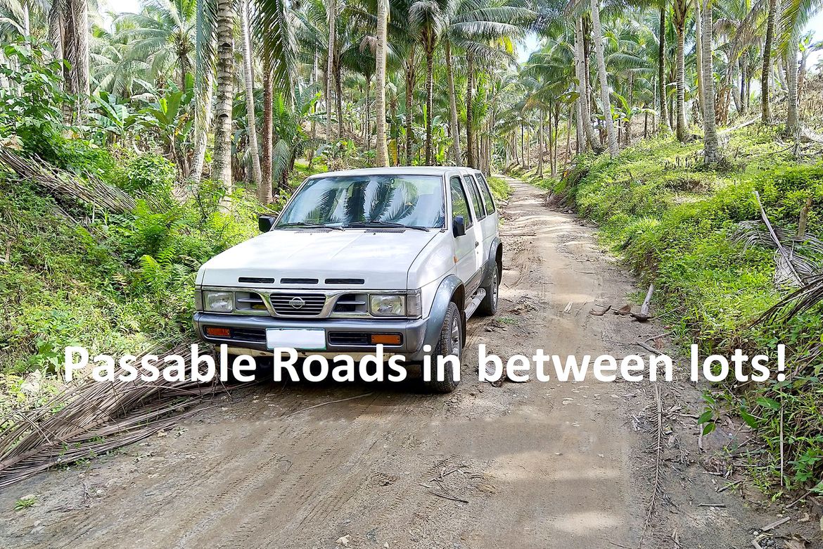 Land for Sale in Mankilam, Tagum, Davao del Norte – photo 6