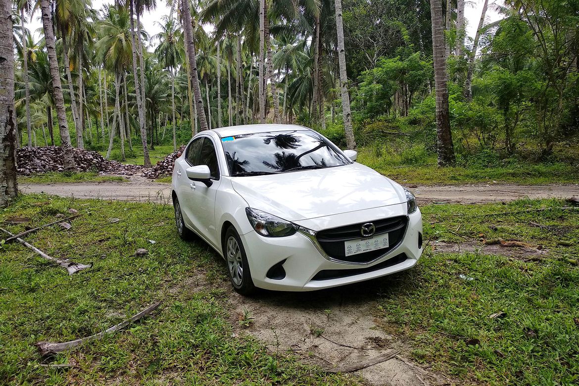 Land for Sale in Mankilam, Tagum, Davao del Norte – photo 7