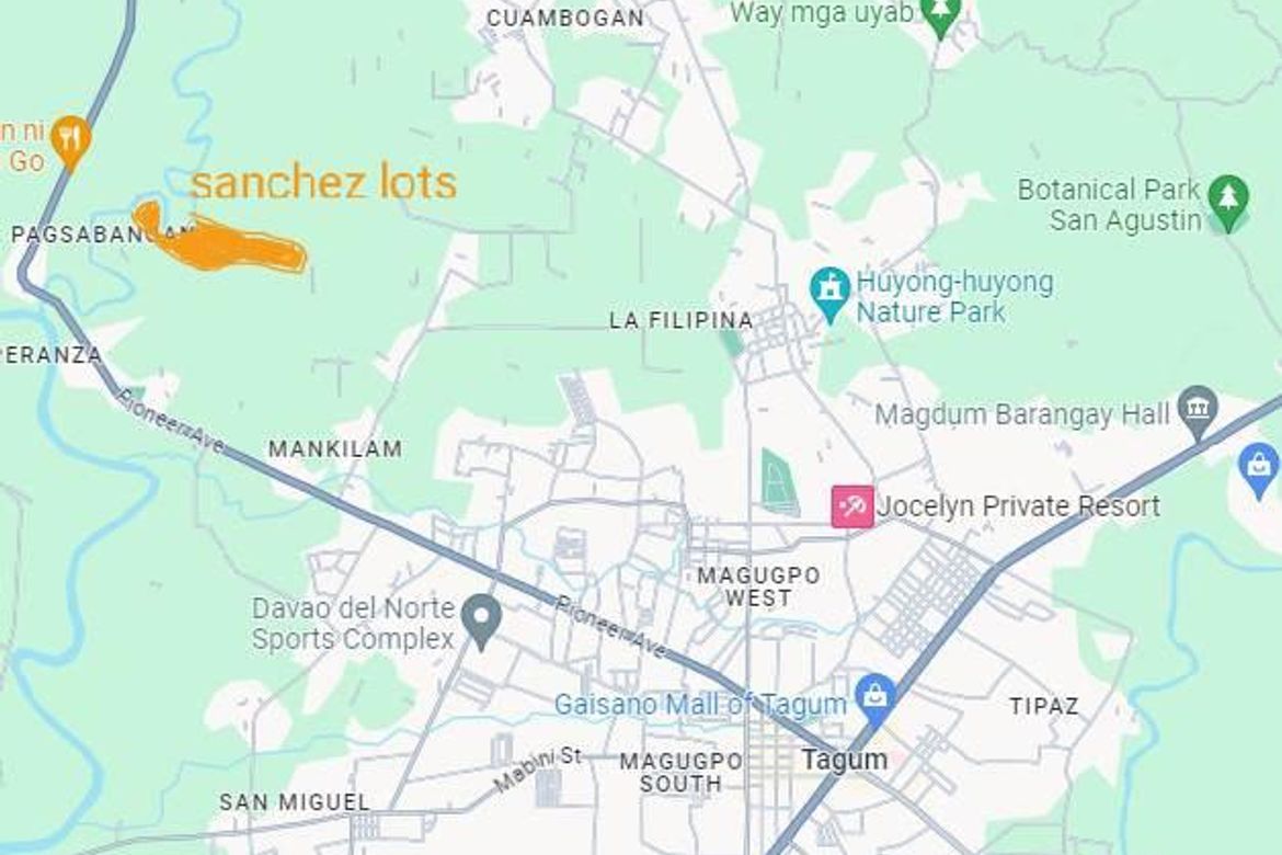 Land for Sale in Mankilam, Tagum, Davao del Norte – photo 6