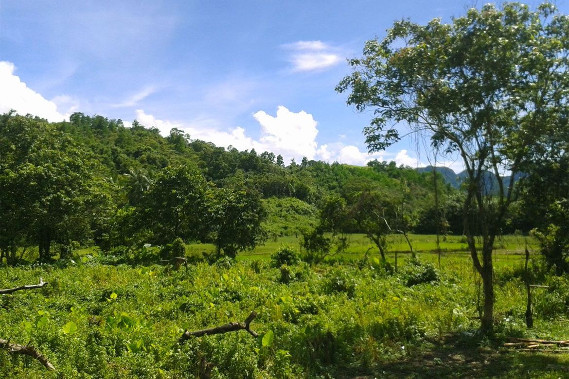 Land for Sale in Manlag, El Nido, Palawan – photo 2