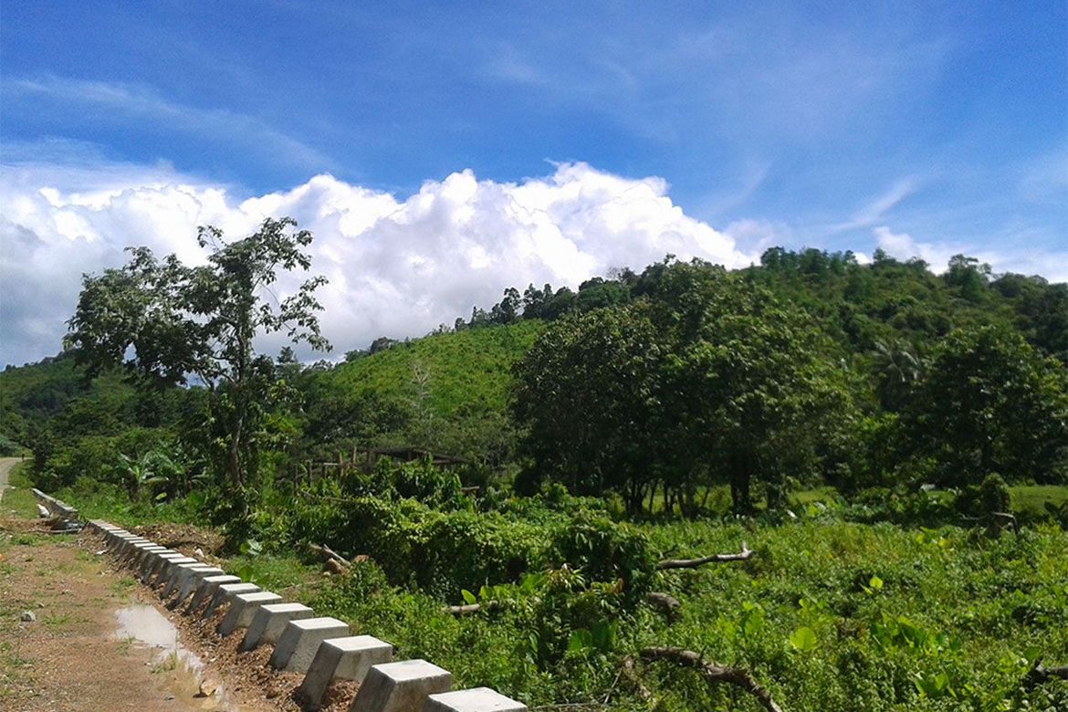 Land for Sale in Manlag, El Nido, Palawan – photo 3