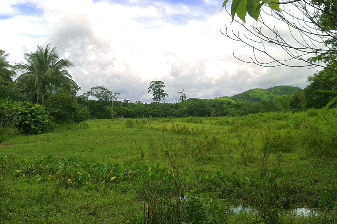 Land for Sale in Manlag, El Nido, Palawan – photo 5