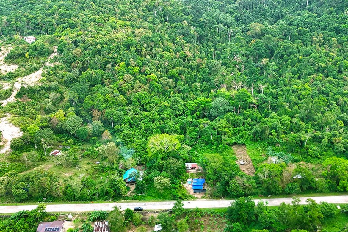 Land for Sale in Manlag, El Nido, Palawan – photo 5
