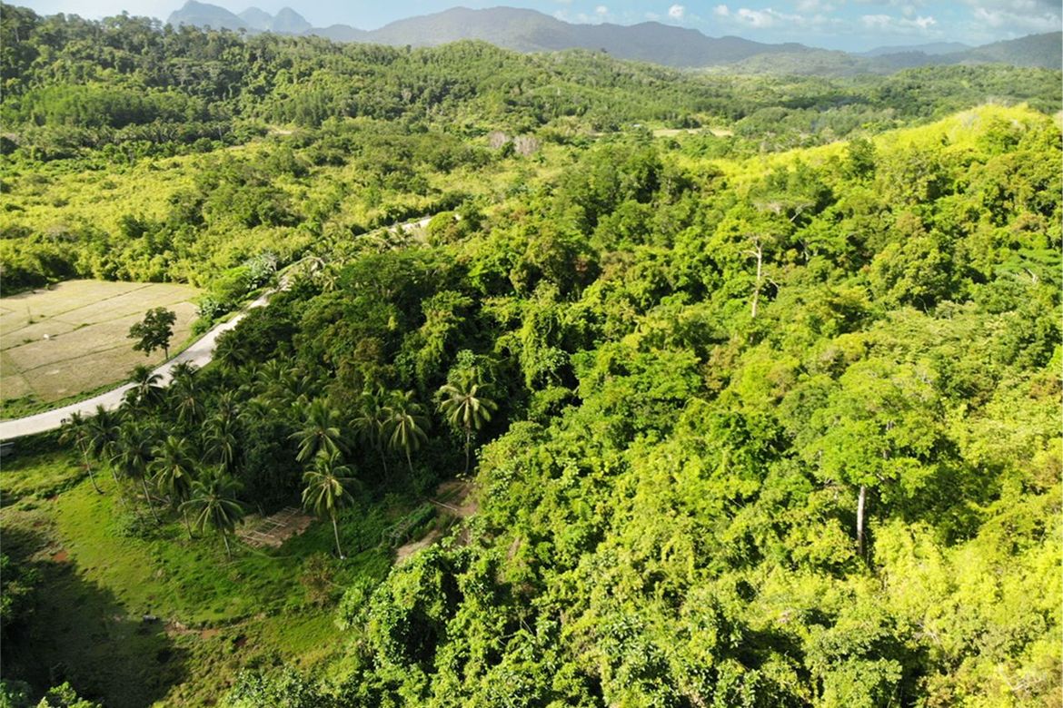 Land for Sale in Manlag, El Nido, Palawan – photo 2