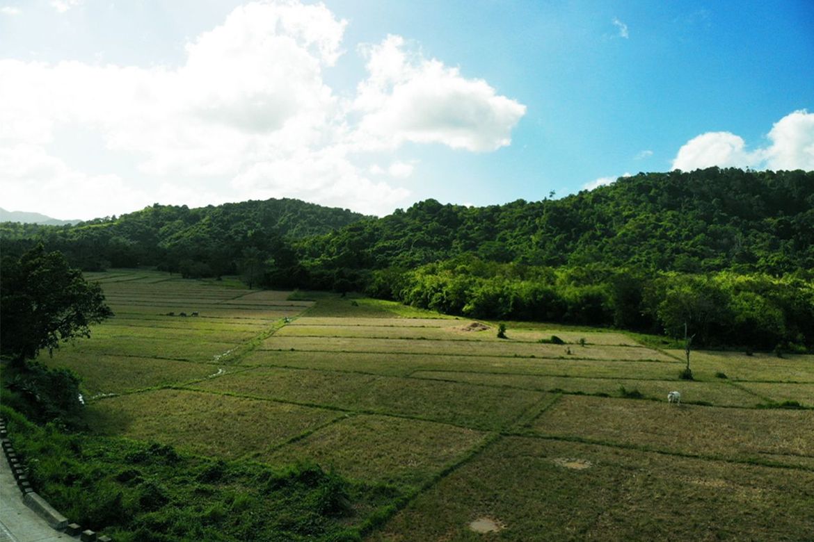 Land for Sale in Manlag, El Nido, Palawan – photo 5