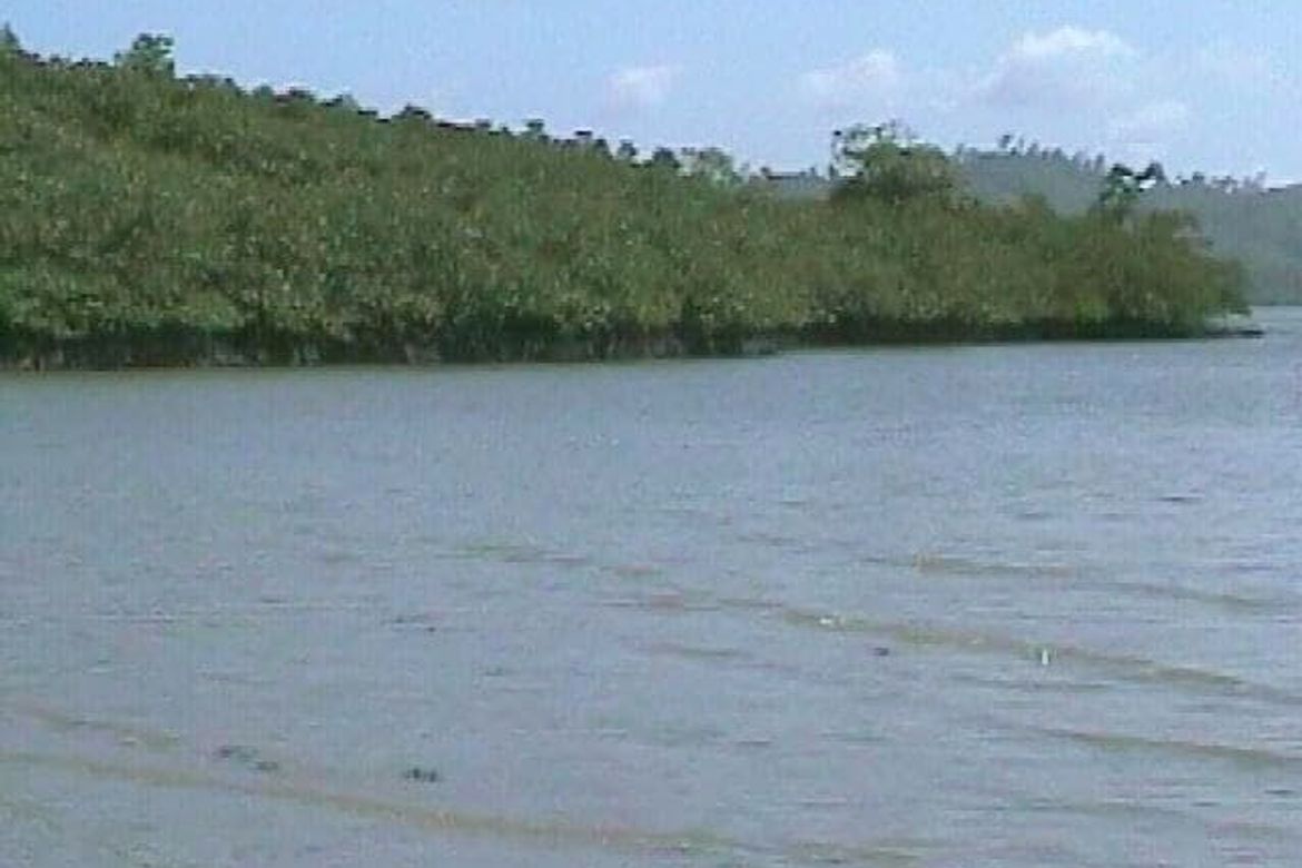 Land for Sale in Manlag, El Nido, Palawan – photo 8