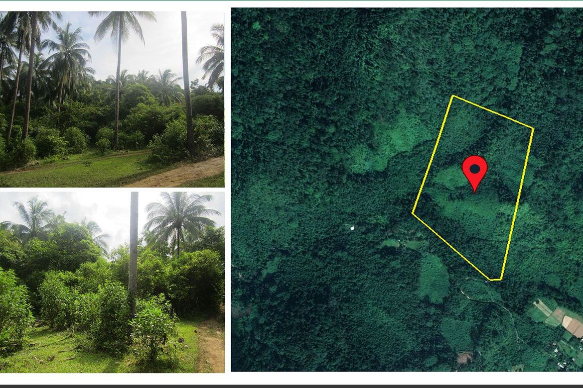 Land for Sale in Manlag, El Nido, Palawan