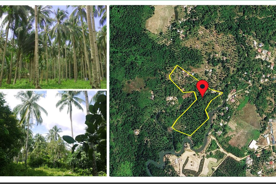 Land for Sale in Manlag, El Nido, Palawan