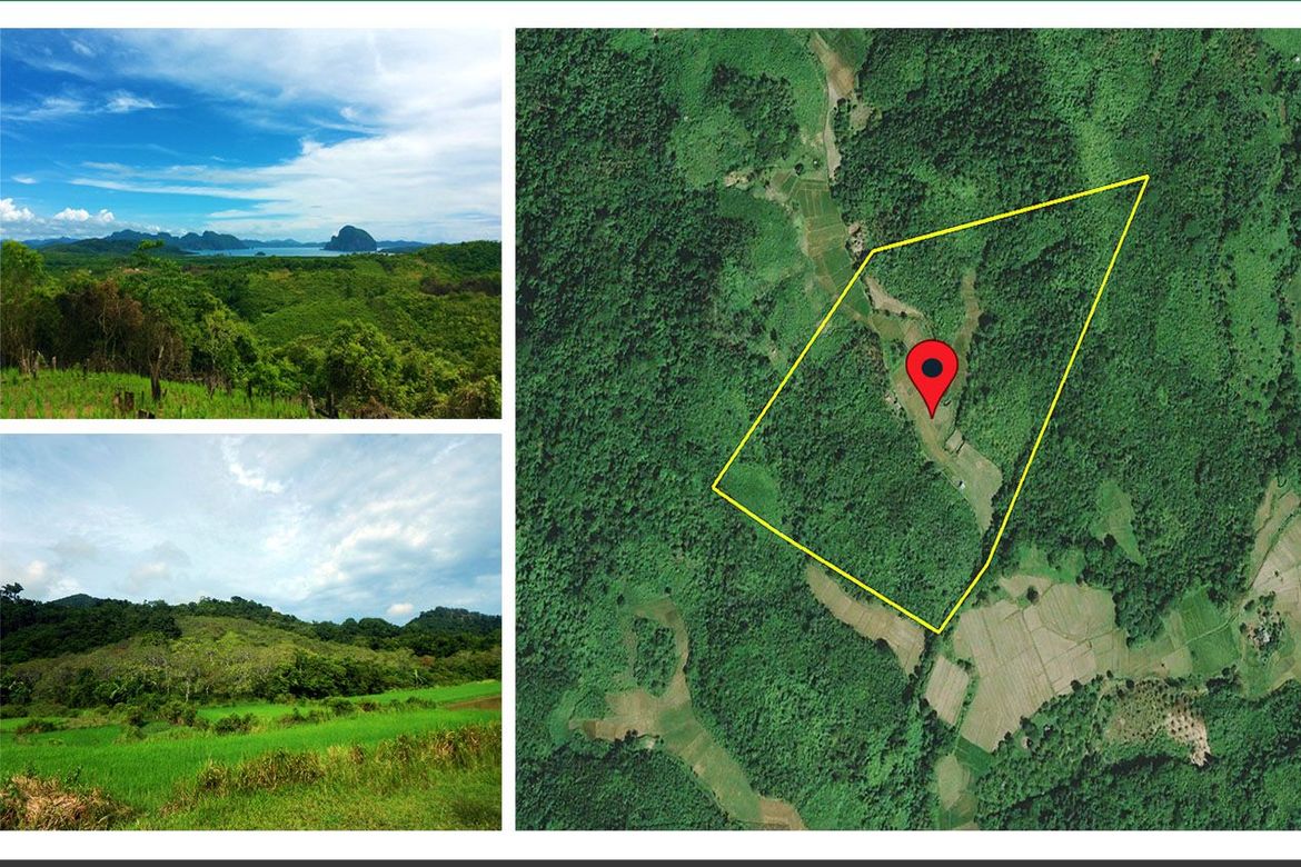 Land for Sale in Manlag, El Nido, Palawan