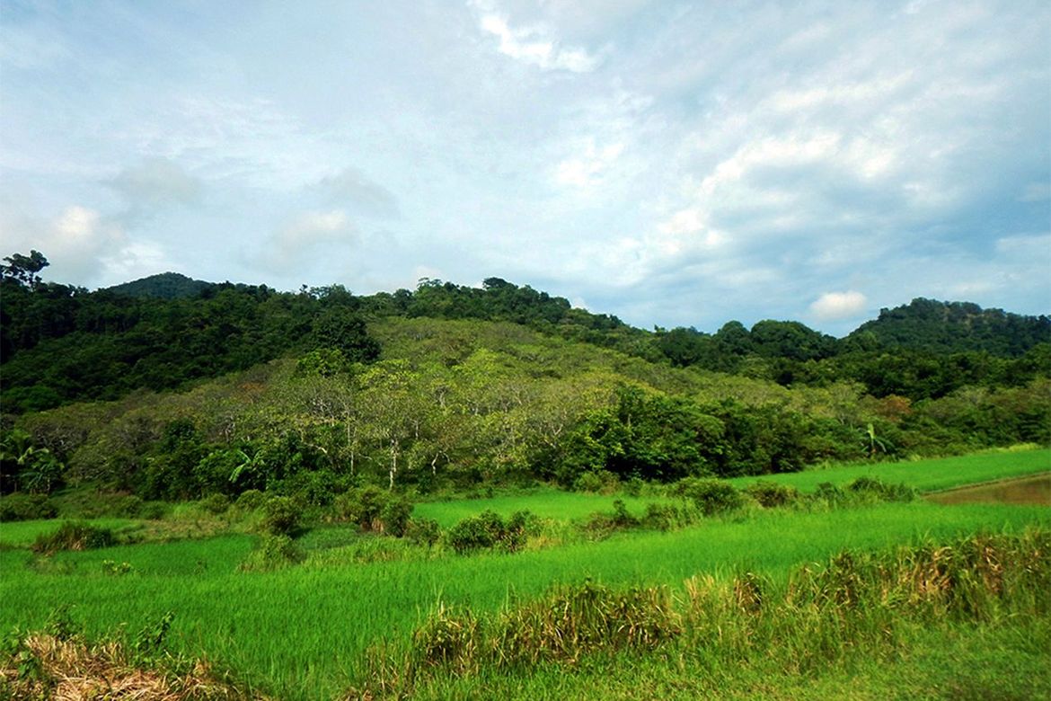 Land for Sale in Manlag, El Nido, Palawan – photo 3