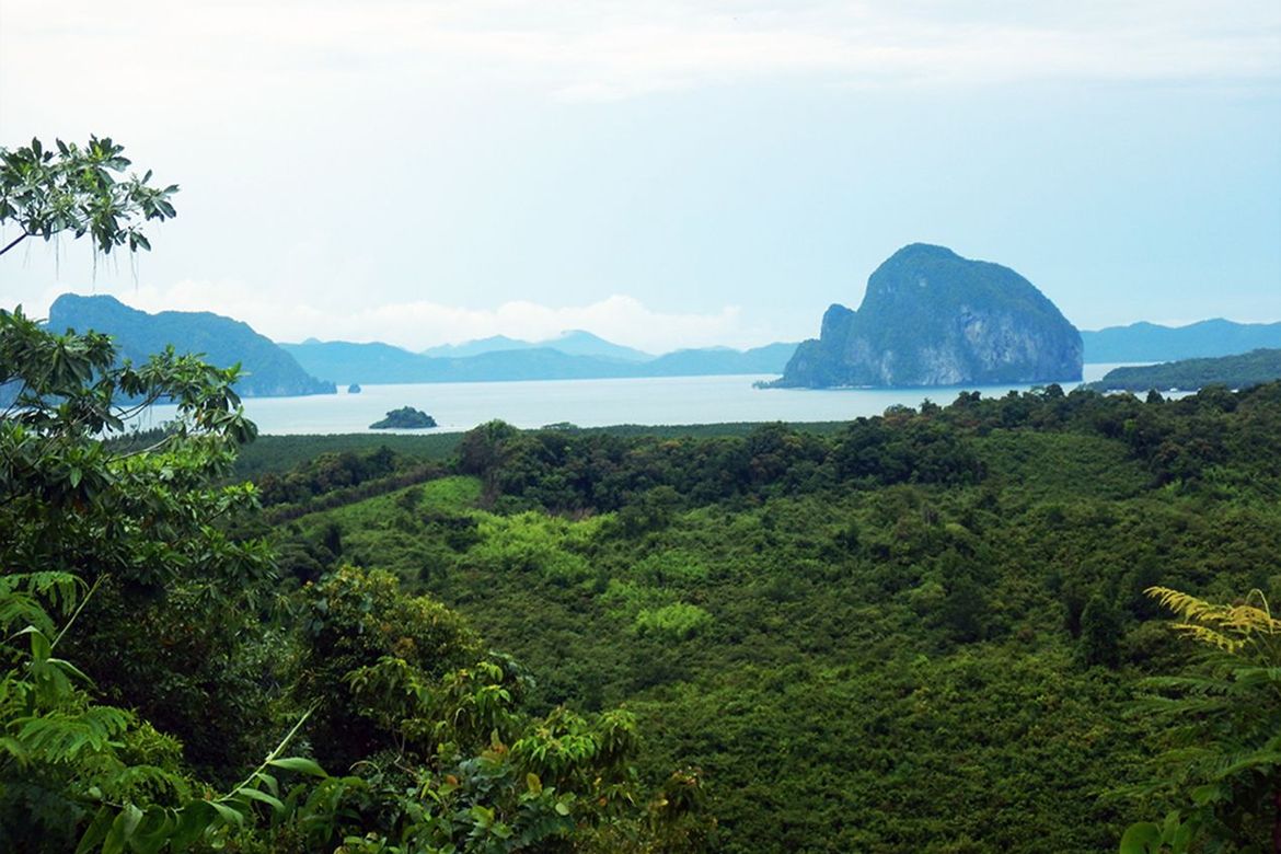 Land for Sale in Manlag, El Nido, Palawan – photo 4