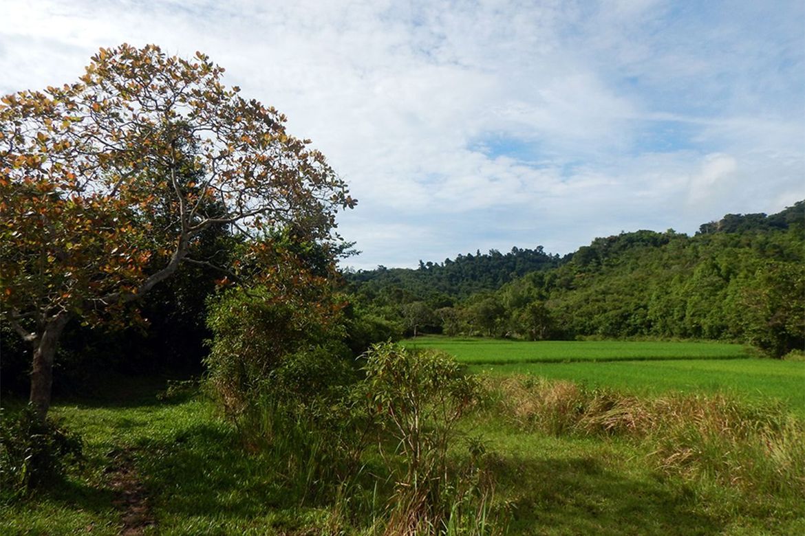 Land for Sale in Manlag, El Nido, Palawan – photo 7