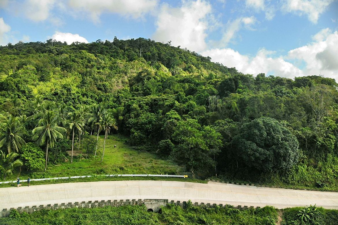 Land for Sale in Manlag, El Nido, Palawan – photo 3