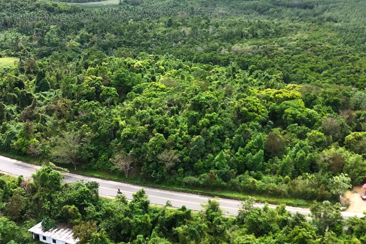 Land for Sale in Manlag, El Nido, Palawan – photo 6