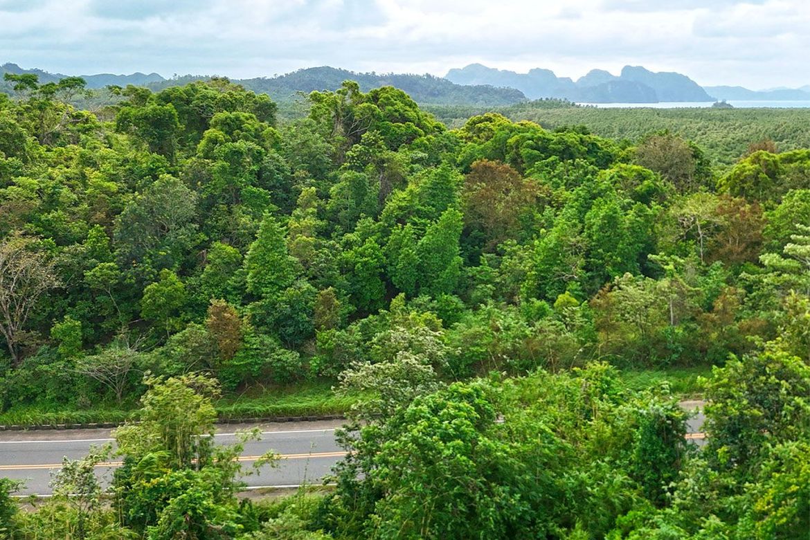 Land for Sale in Manlag, El Nido, Palawan – photo 8