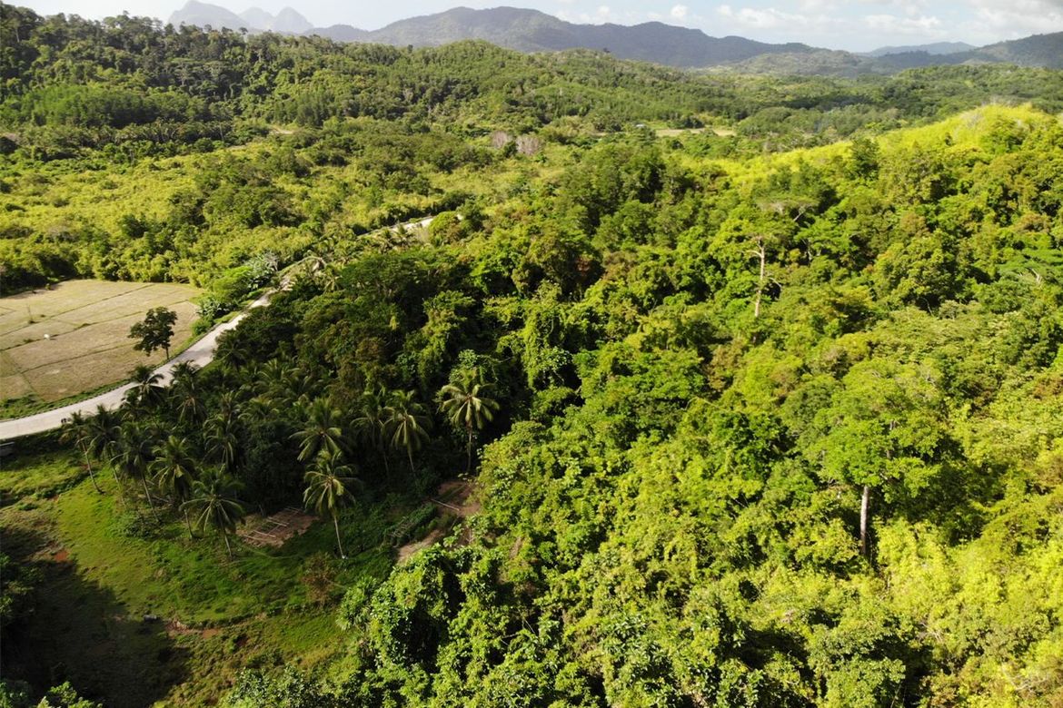 Land for Sale in Manlag, El Nido, Palawan – photo 3
