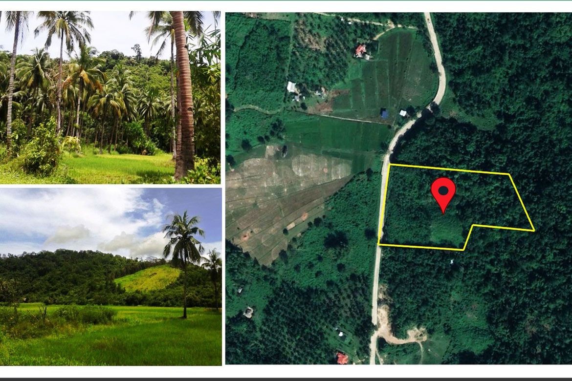 Land for Sale in Manlag, El Nido, Palawan