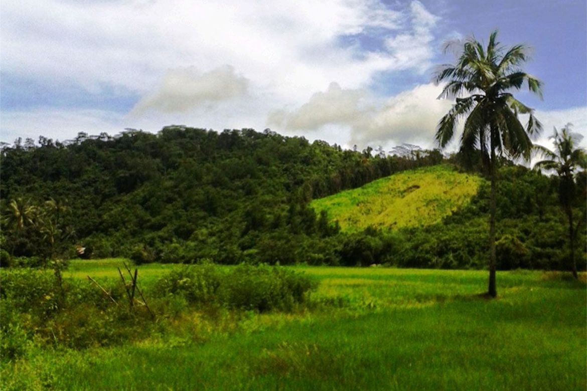 Land for Sale in Manlag, El Nido, Palawan – photo 3