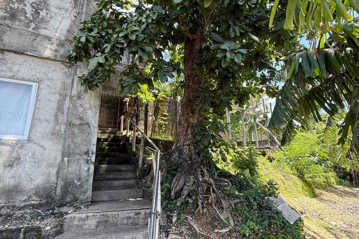 Land for Sale in Manoc-Manoc, Malay, Aklan – photo 7
