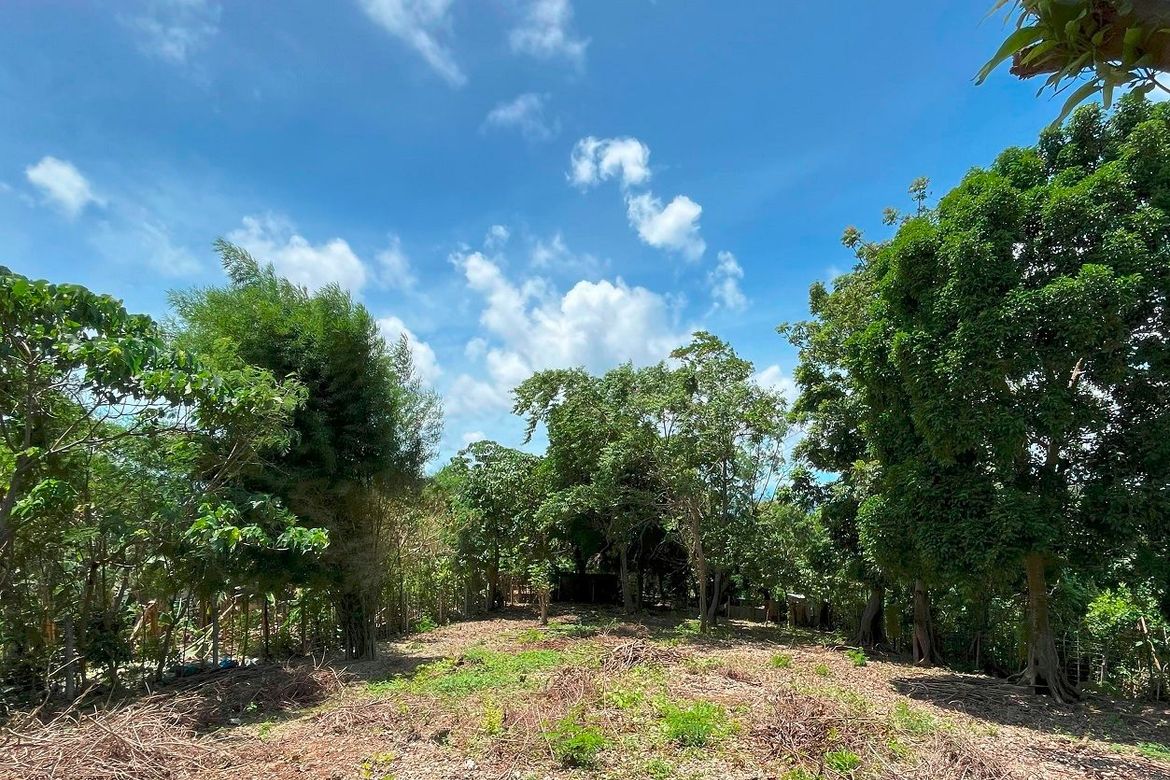 Land for Sale in Manoc-Manoc, Malay, Aklan