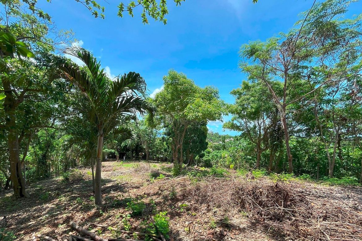 Land for Sale in Manoc-Manoc, Malay, Aklan – photo 3