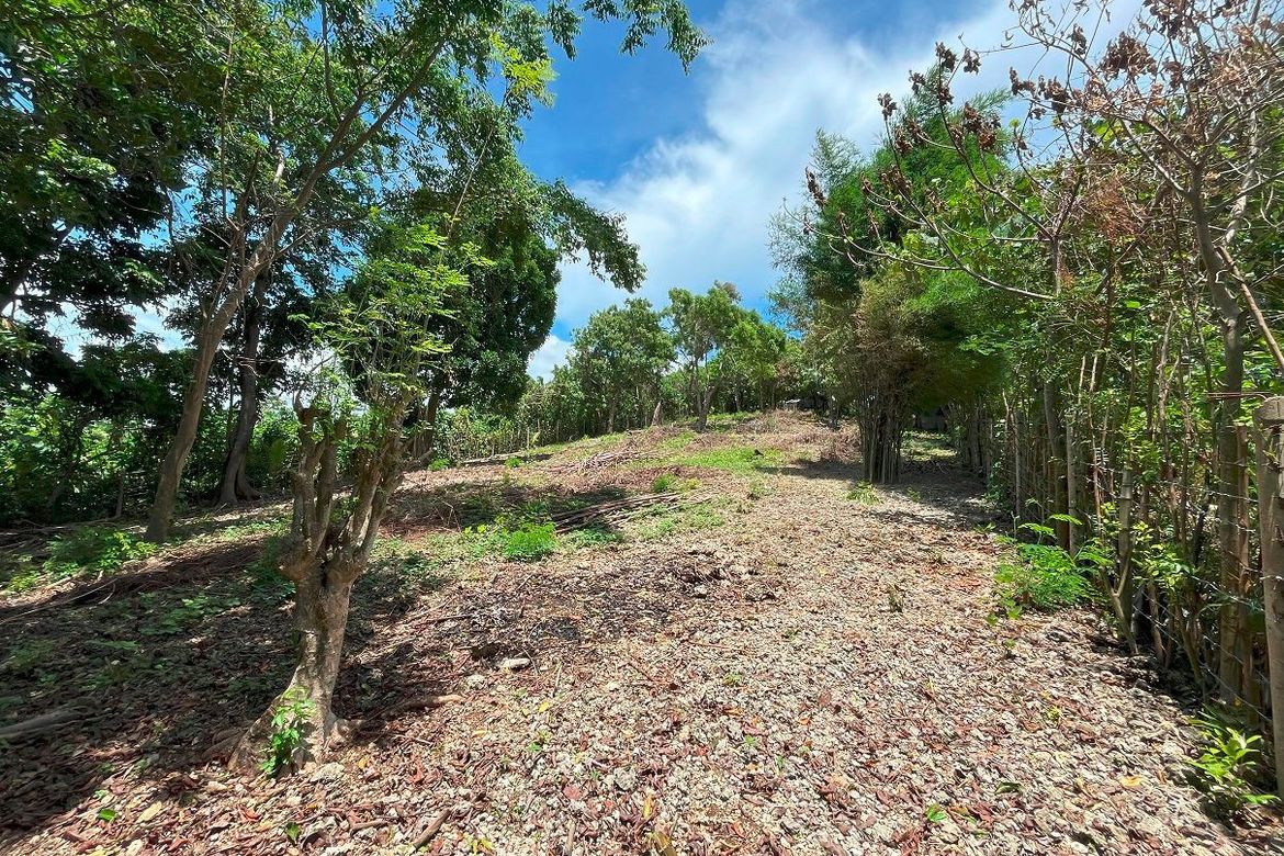 Land for Sale in Manoc-Manoc, Malay, Aklan – photo 5