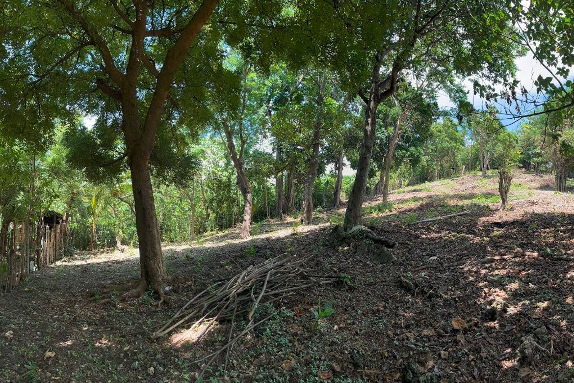 Land for Sale in Manoc-Manoc, Malay, Aklan – photo 7