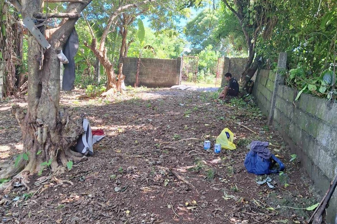 Land for Sale in Manoc-Manoc, Malay, Aklan – photo 6