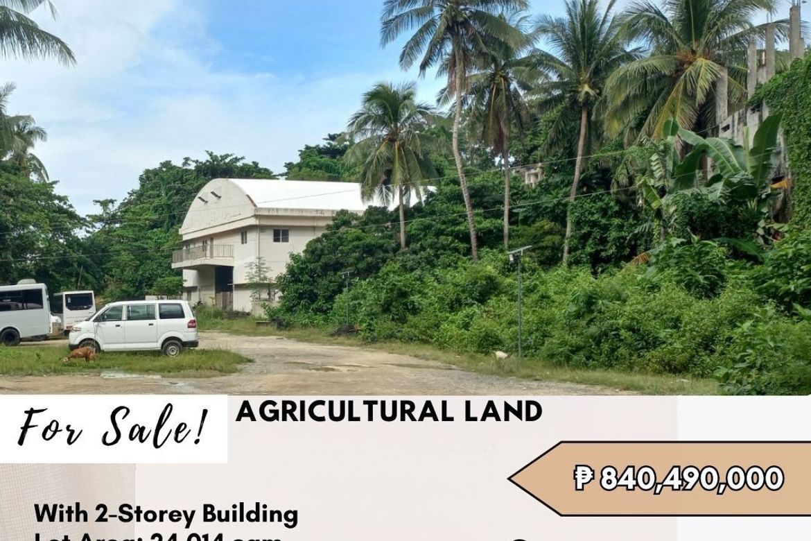 Land for Sale in Manoc-Manoc, Malay, Aklan