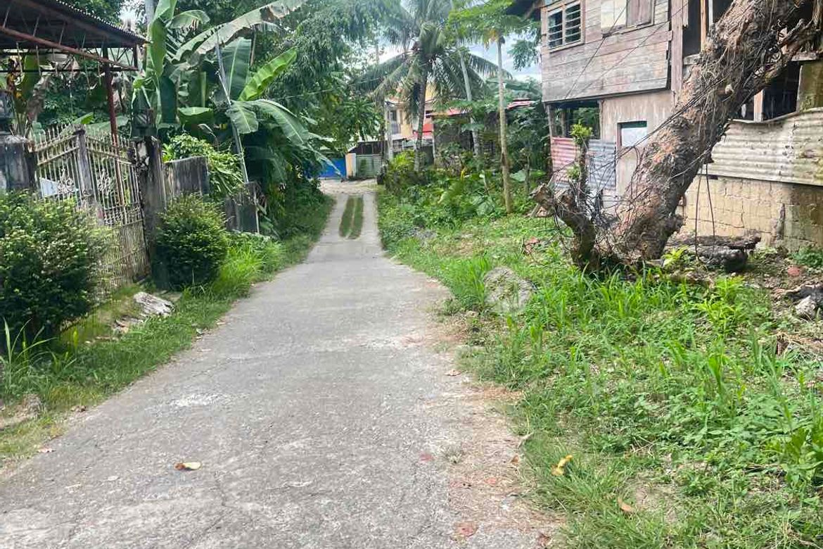 Land for Sale in Mansasa, Tagbilaran, Bohol – photo 3