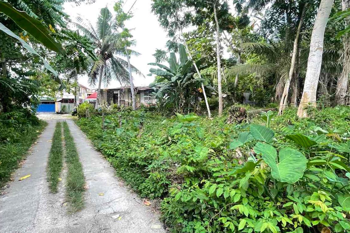 Land for Sale in Mansasa, Tagbilaran, Bohol – photo 4