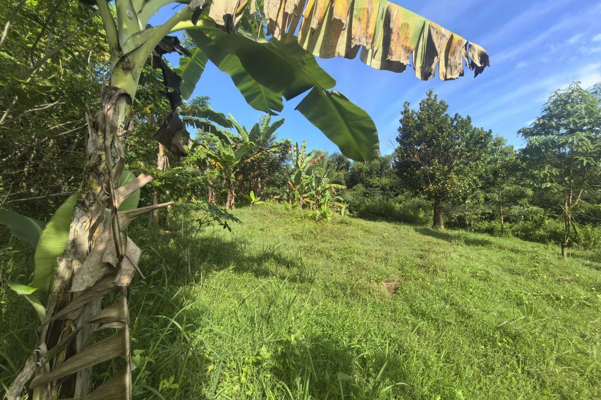 Land for Sale in Mantalongon, Barili, Cebu – photo 4